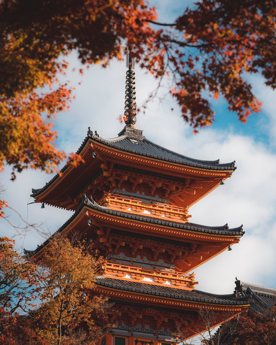 Traditional Kyoto pagoda framed by autumn foliage