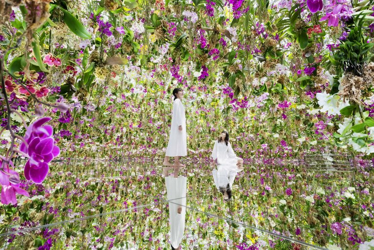 teamLab Planets mirrored orchid installation
