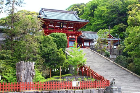 Temple buildings surrounded by greenery in Japan
